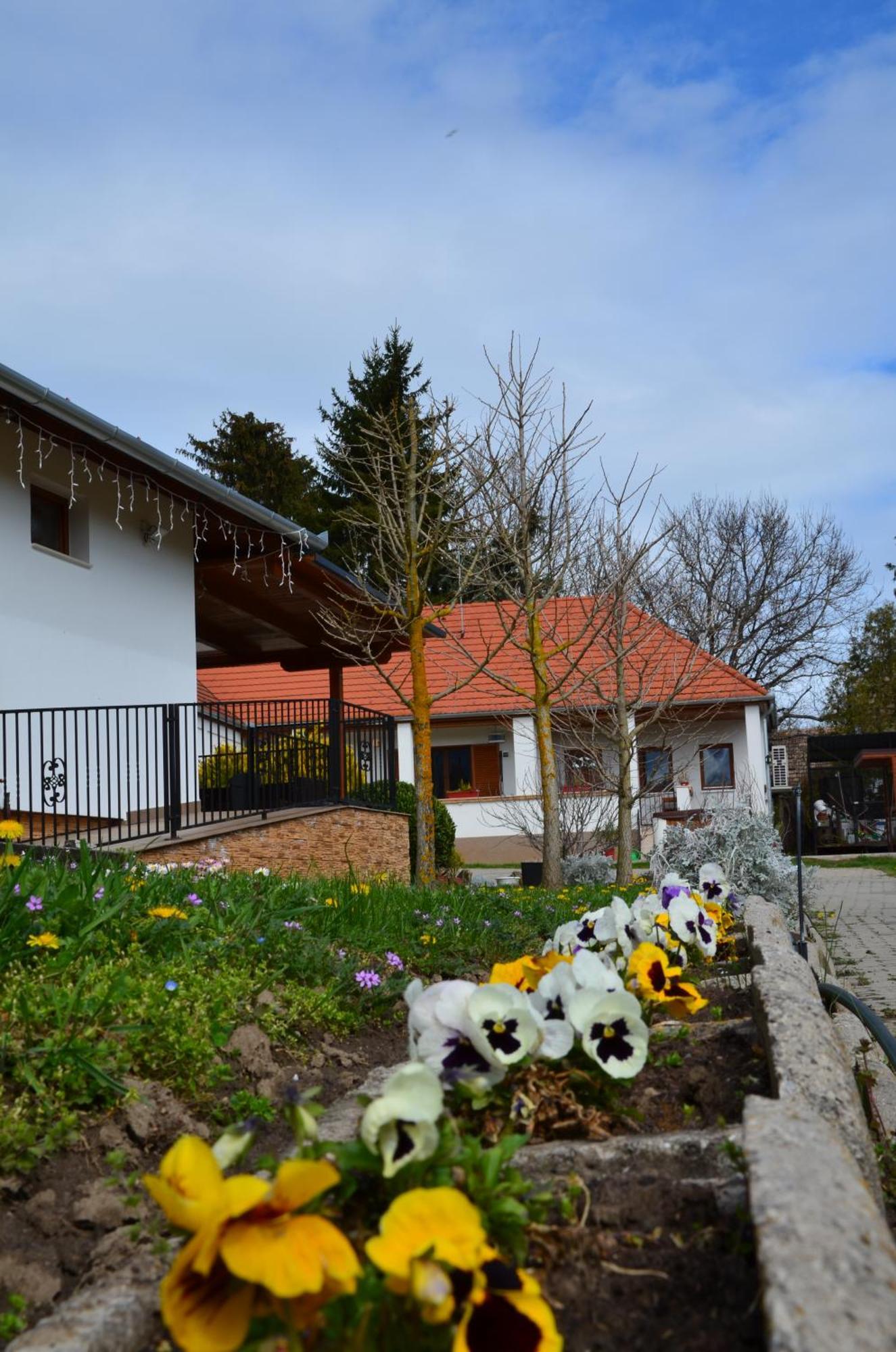 Kerekerdo Vendeghaz Hotel Kisszekely Exterior photo